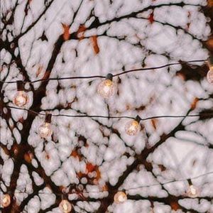 Meet your Posher, Sus